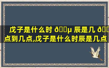 戊子是什么时 🐵 辰是几 🌲 点到几点,戊子是什么时辰是几点到几点出生